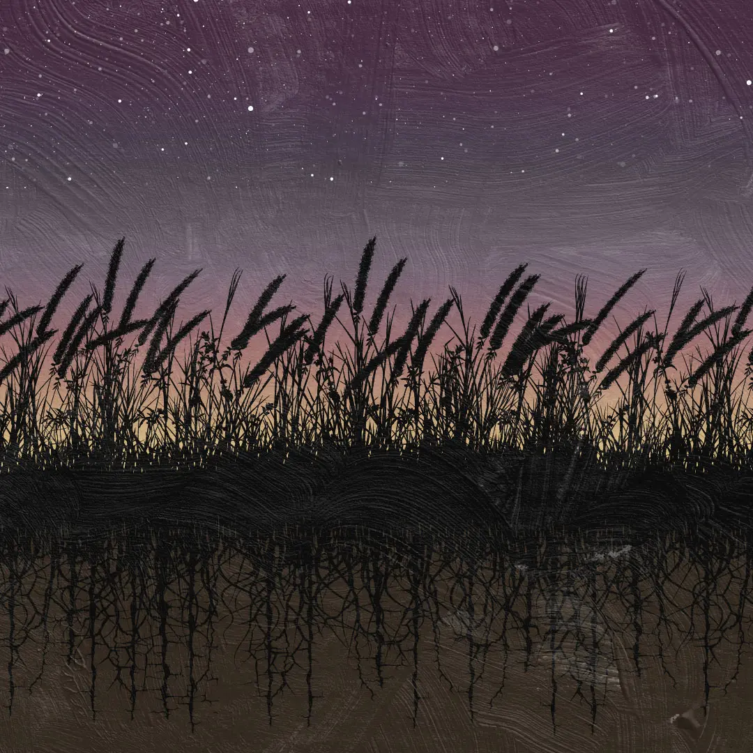 deeply rooted plants in front of a gold and purple sunrise symbolizing grassroots advocacy for severe mental illness