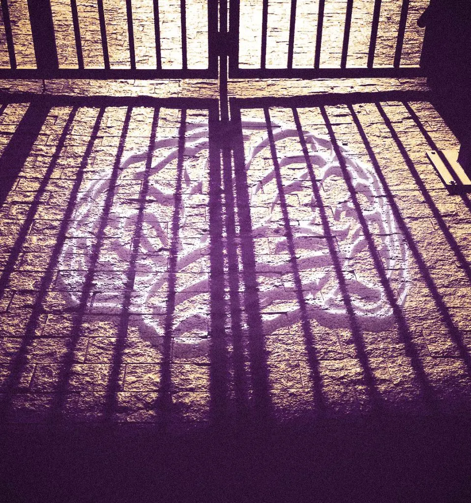 An icon of a brain behind shadows of the bars of a jail cell.